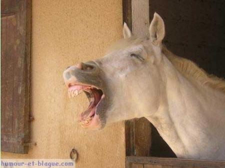 ahssan dahka fi 3alam ou yalah